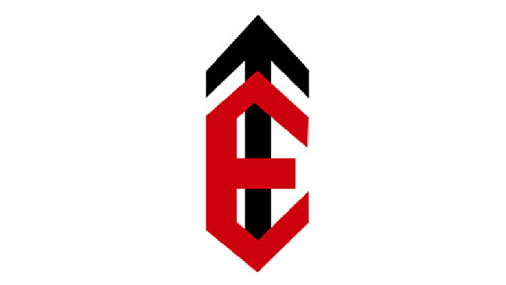 Transgulf Enterprises logo